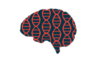 The human brain is shown in profile with DNA chains superimposed on it lengthwise.