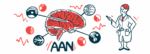A scientist points to highlighted regions of the human brain, appearing above the letters AAN, in an illustration for the American Academy of Neurology annual meeting.