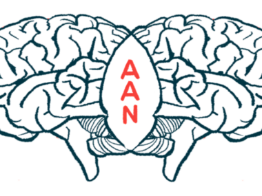 Illustration shows two human brains divided by the letters 