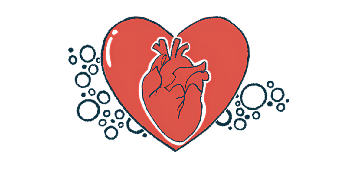 A realistic illustration of a heart is shown inside a Valentine-style heart.