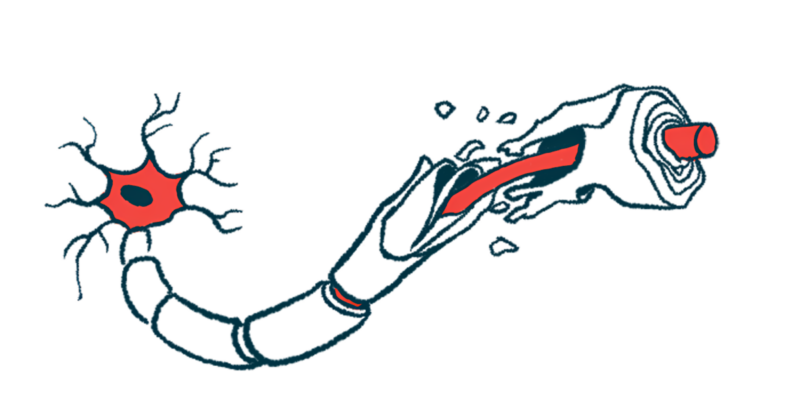 An illustration shows damaged myelin.