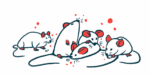 Mice are shown huddling together in a group.