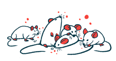 Mice are shown huddling together in a group.