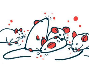 Lab mice are shown huddling together in a group.