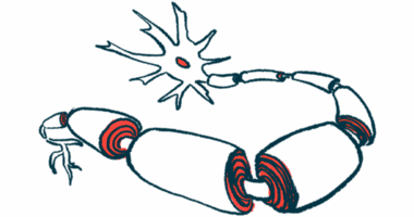 An illustration provides a close-up view of a neuron covered by the myelin sheath.
