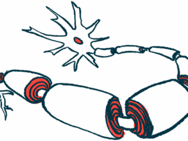 An illustration provides a close-up view of a neuron covered by the myelin sheath.