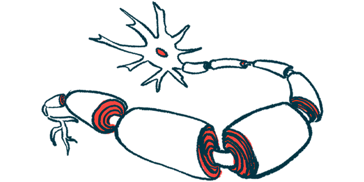 An illustration provides a close-up view of a neuron covered by the myelin sheath.