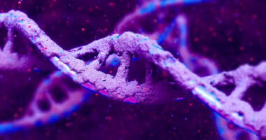 This image shows a strand of DNA.