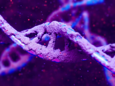 This image shows a strand of DNA.