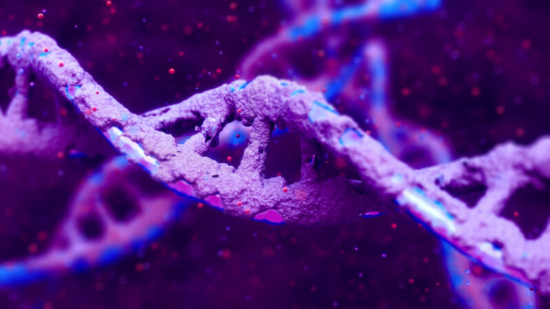 This image shows a strand of DNA.