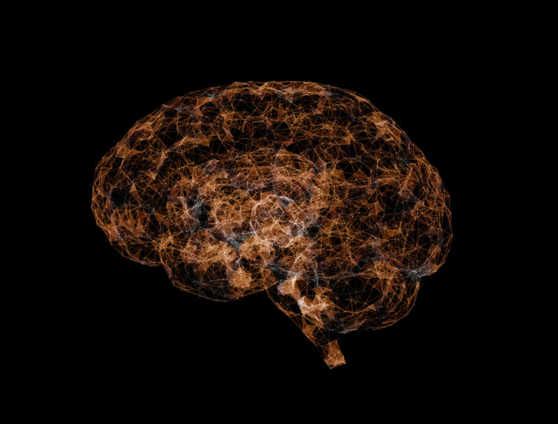 A brain map highlights regions studied for myelin damage and repair.