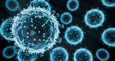 A photo shows a virus.