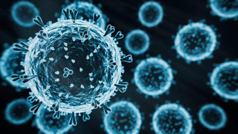 A photo shows a virus.