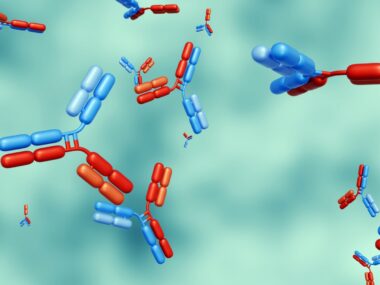 A 3d rendering shows antibodies.