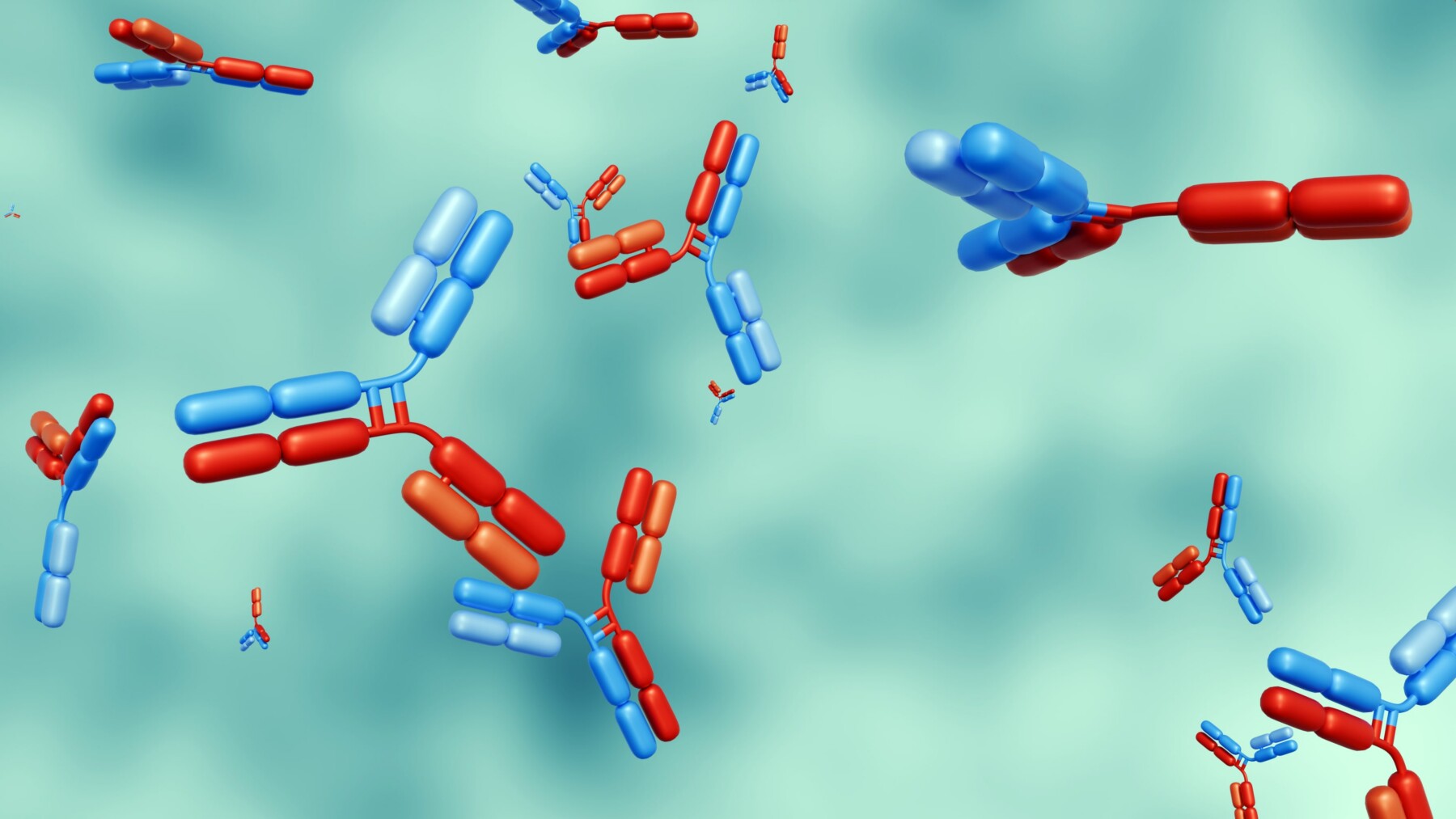 A 3d rendering shows antibodies.
