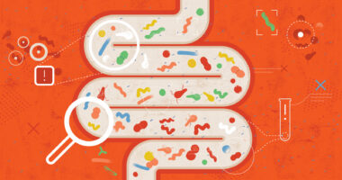 A graphic shows an intestine with bacteria.