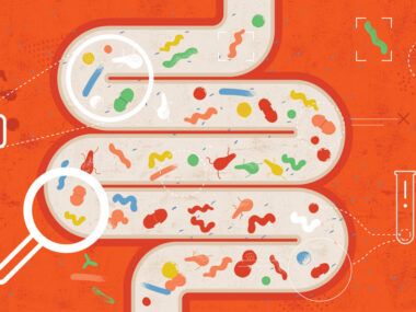 A graphic shows an intestine with bacteria.