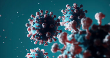 An image of viruses.