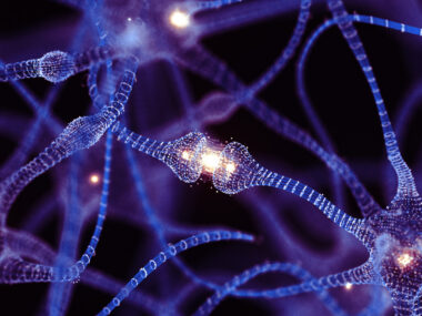 An image shows neurons.