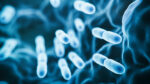 This 3D-rendered image shows gut-friendly bacteria.