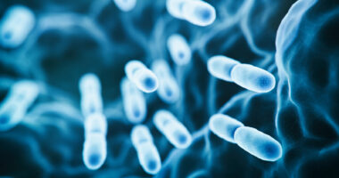 This 3D-rendered image shows gut-friendly bacteria.