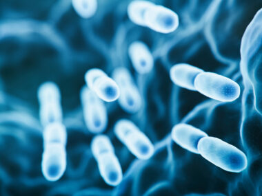 This 3D-rendered image shows gut-friendly bacteria.