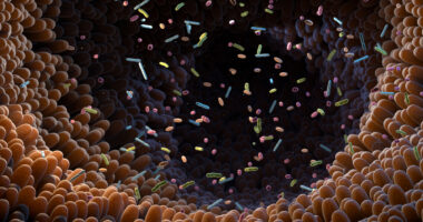 Illustration of intestinal bacteria.