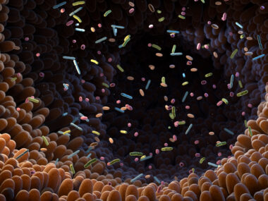 Illustration of intestinal bacteria.