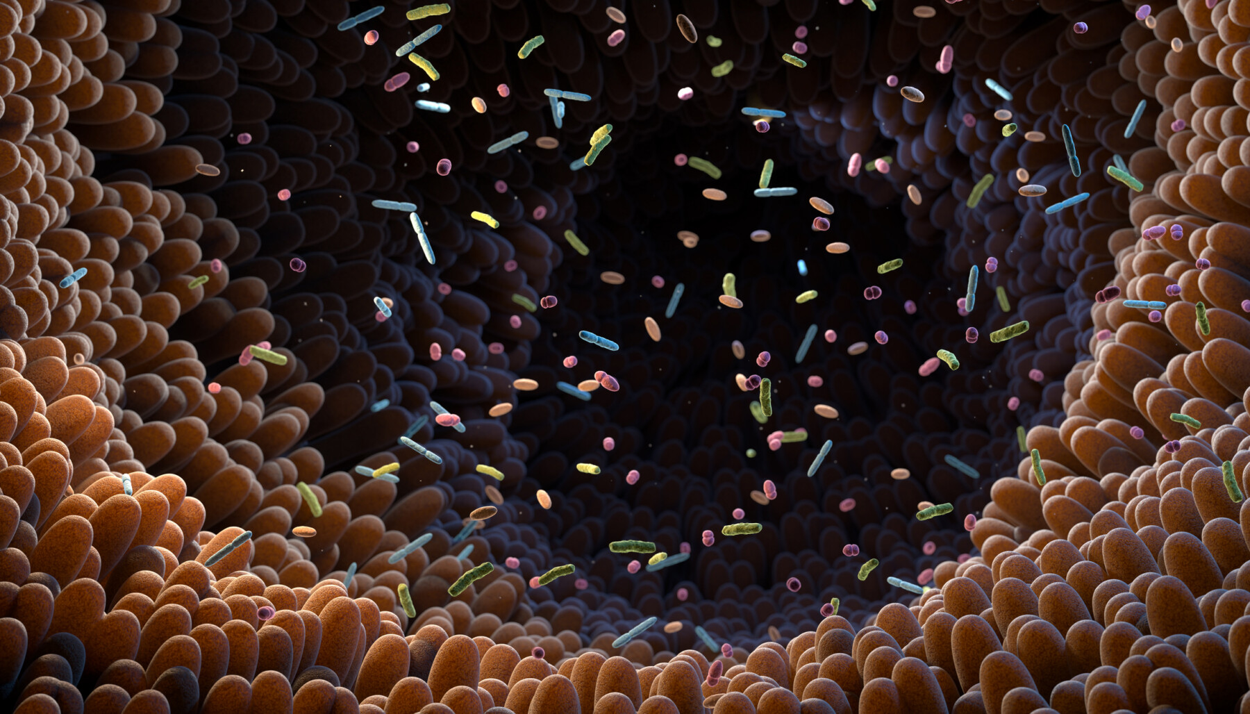 Illustration of intestinal bacteria.