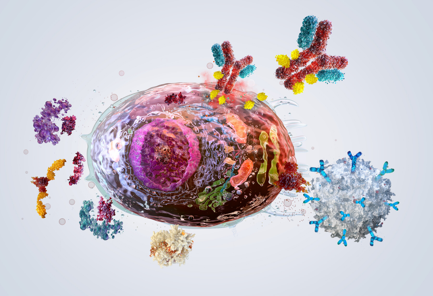Scientific illustration of immune cells, antibodies, and cellular proteins involved in immune system activity.