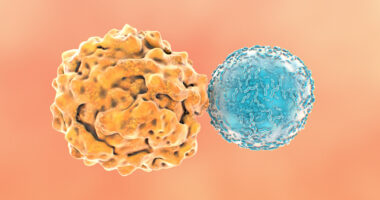 Two types of cells, one an immune cell, are pictured.