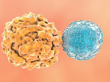 Two types of cells, one an immune cell, are pictured.