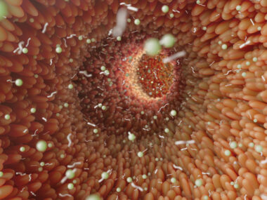 A 3D rendering of the microvilli architecture in the human colon.