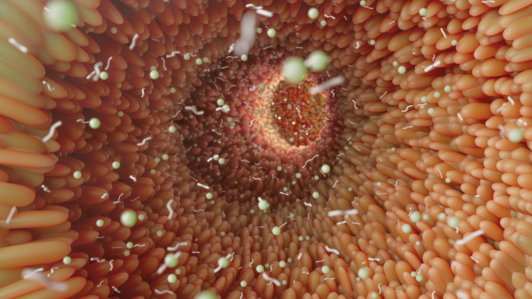 A 3D rendering of the microvilli architecture in the human colon.