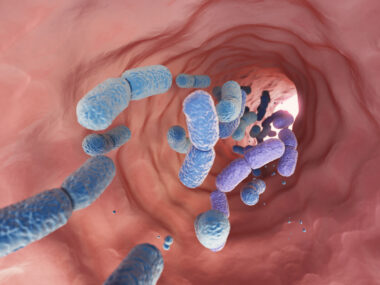 A large group of probiotic bacteria are seen moving through the human gut.
