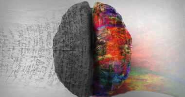 An image highlights the two sides of a human brain.
