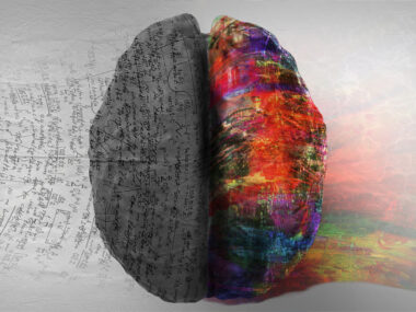 An image highlights the two sides of a human brain.