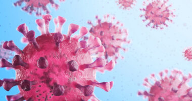 A close-up view shows the coronavirus in pink against a blue background.