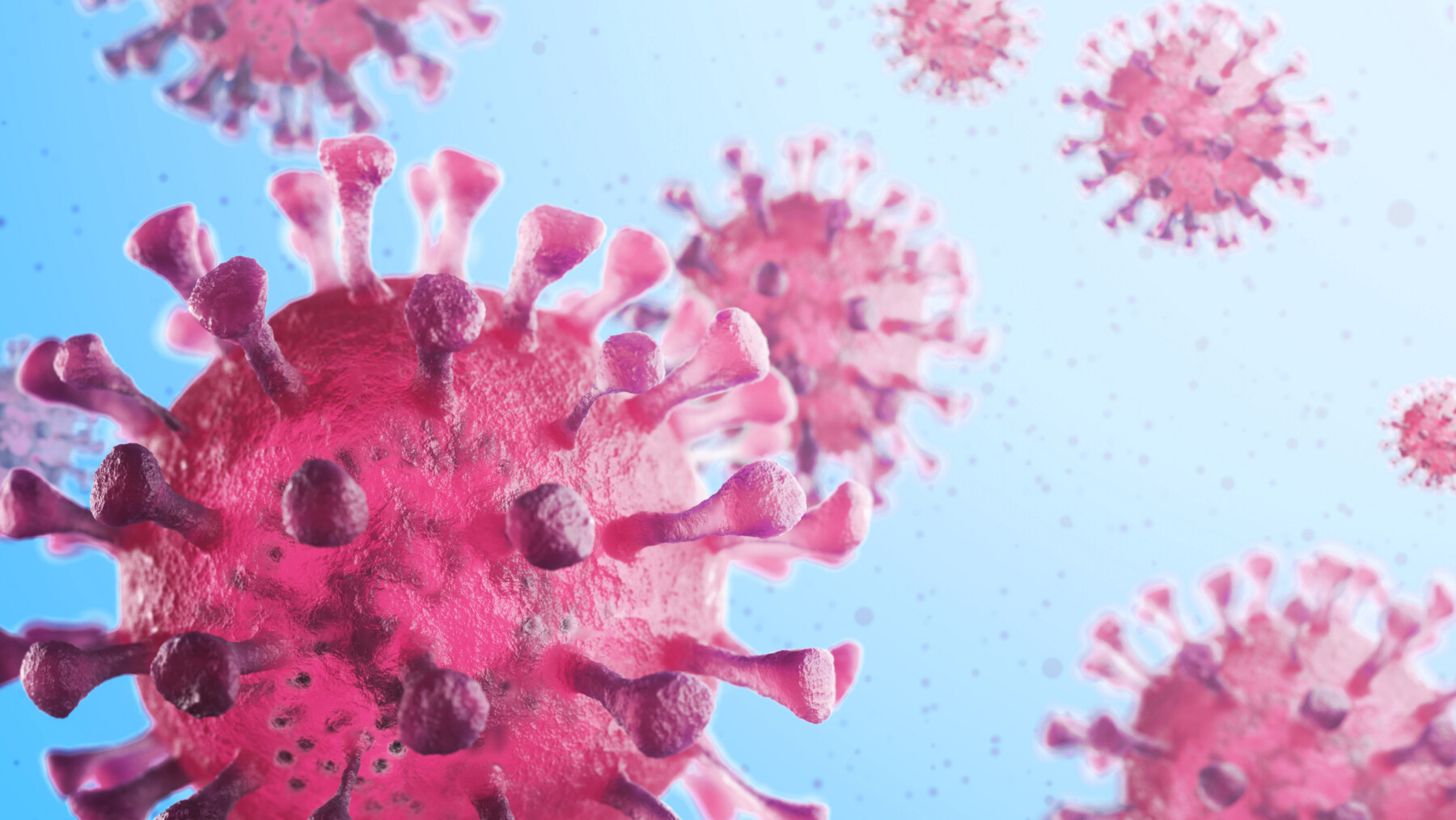 A close-up view shows the coronavirus in pink against a blue background.