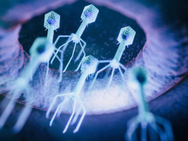 An image shows a virus up close.