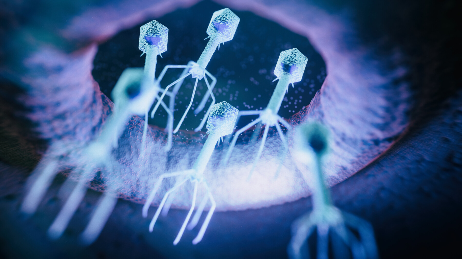 An image shows a virus up close.