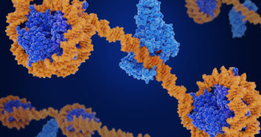 Illustration of DNA wrapped around histone proteins, representing epigenetic changes in gene regulation.