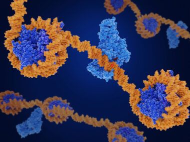 Illustration of DNA wrapped around histone proteins, representing epigenetic changes in gene regulation.