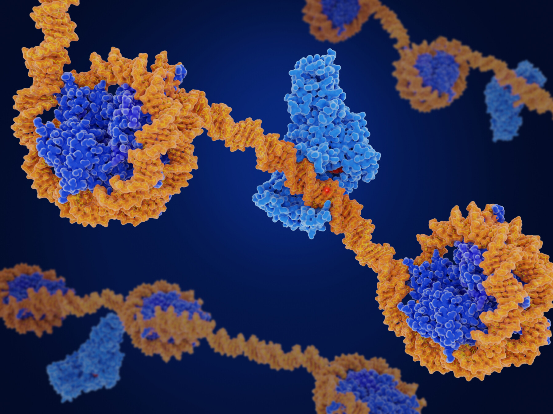 Illustration of DNA wrapped around histone proteins, representing epigenetic changes in gene regulation.