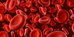 Image of red blood cells.