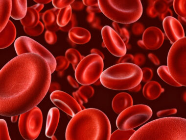 Image of red blood cells.