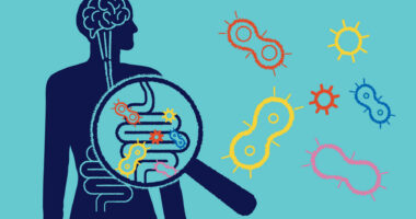 An image shows a magnifying glass superimposed over a person's digestive system.