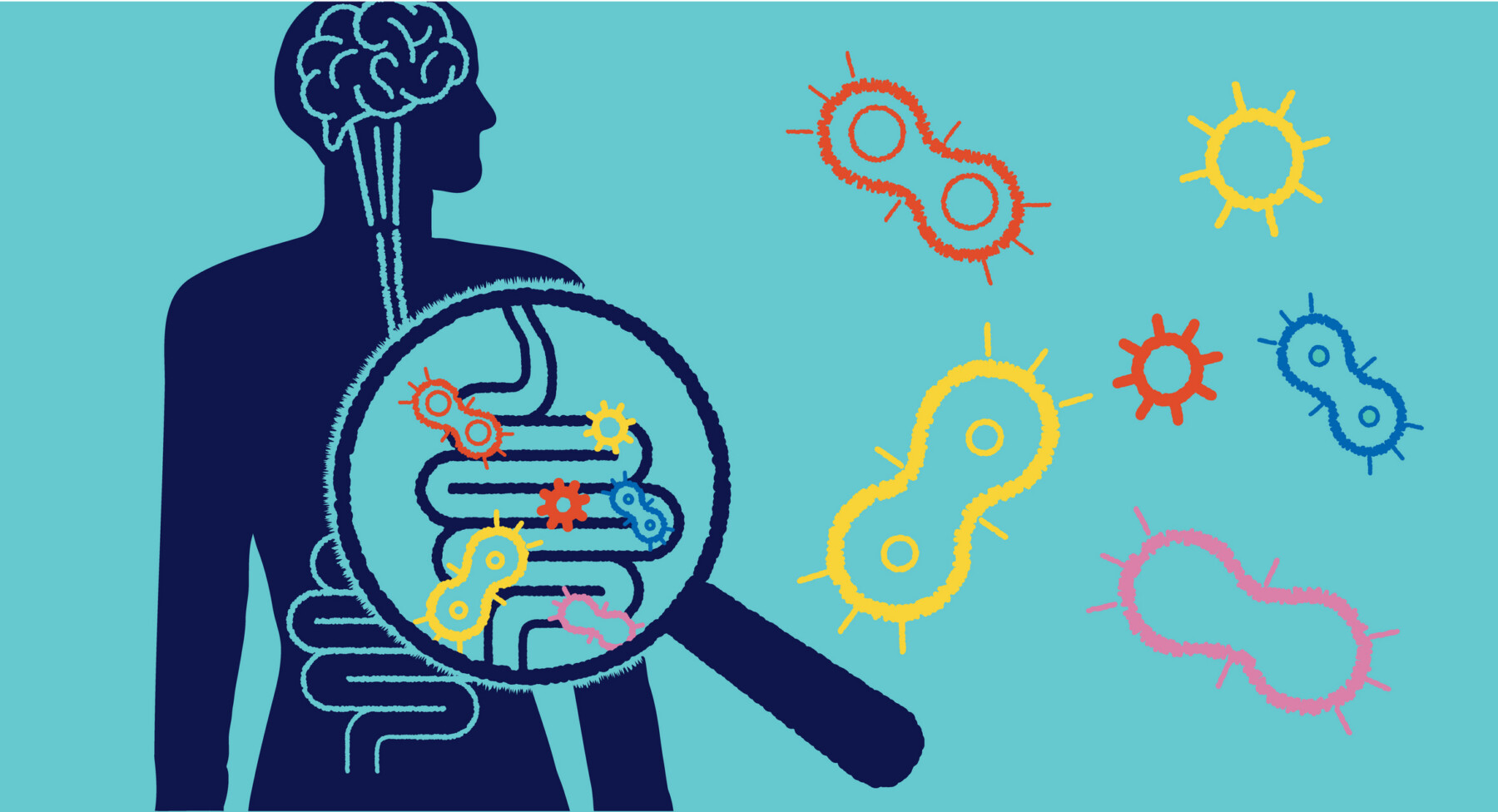 An image shows a magnifying glass superimposed over a person's digestive system.