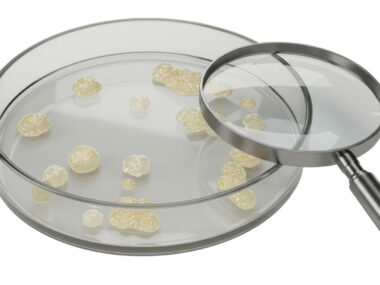 Image shows a magnifying glass resting on the rim of a petri dish that contains granules.