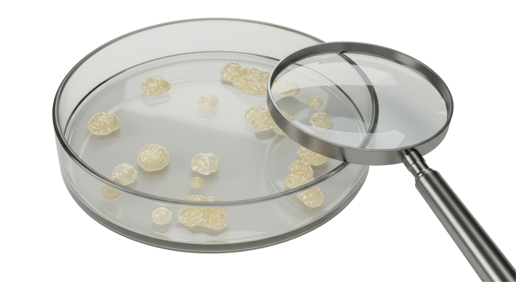 Image shows a magnifying glass resting on the rim of a petri dish that contains granules.